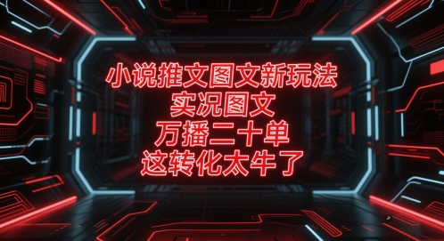 小说推文图文新玩法，实况图文，万播二十单，这转化太牛了！-东升网创