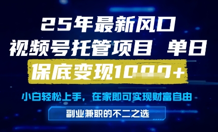 25年最新风口，视频号托管项目，单日保底变现1k+，手把手教学【揭秘】-东升网创
