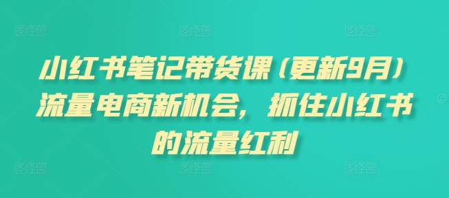 小红书笔记带货课(更新25年5月)流量电商新机会，抓住小红书的流量红利-东升网创