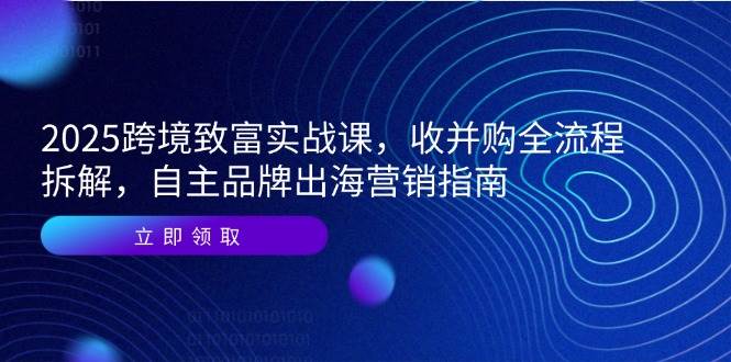 （14975期）2025跨境致富实战课，收并购全流程拆解，自主品牌出海营销指南-东升网创
