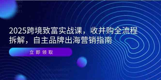 2025跨境致富实战课，收并购全流程拆解，自主品牌出海营销指南-东升网创