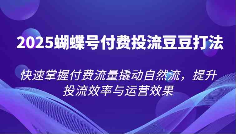 2025蝴蝶号付费投流豆豆打法，快速掌握付费流量撬动自然流，提升投流效率与运营效果-东升网创