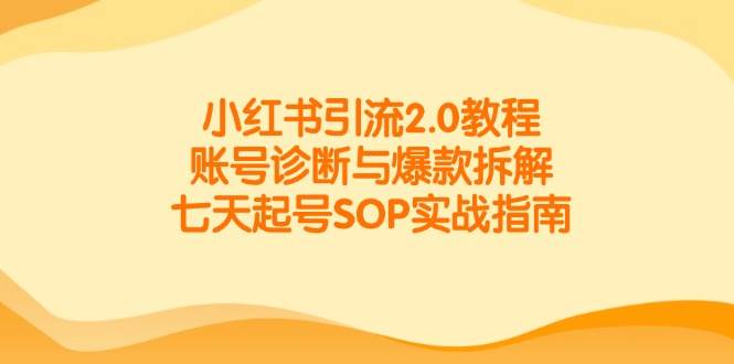 小红书引流2.0教程，账号诊断与爆款拆解，七天起号SOP实战指南-东升网创