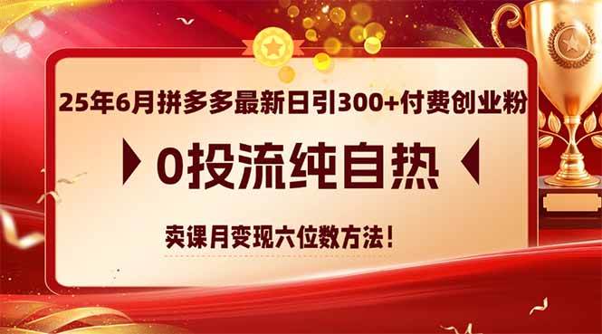 （14989期）25年6月拼多多最新日引300+付费创业粉，0投流纯自热 卖课月变现六位数方法-东升网创