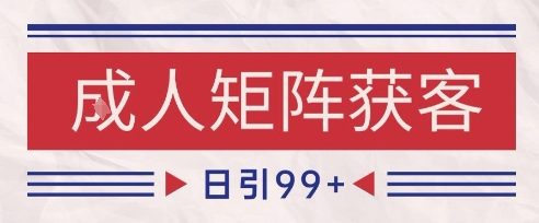 小红书某音橙人赛道引流获客，自热矩阵日引200+【揭秘】-东升网创