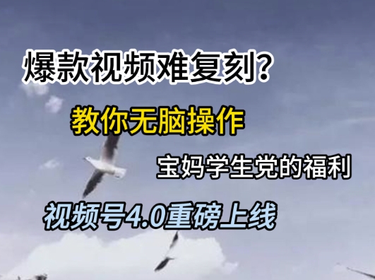 视频号4.0重磅上线，爆款视频难复刻？教你无脑操作宝妈学生党的福利【揭秘】-东升网创