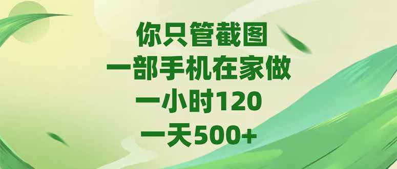 （15039期）你只管截图，一部手机在家做，一小时120，-天500+-东升网创
