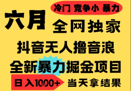 25年6月高爆抖音无人直播最新撸音浪掘金项目，小白可做，无脑日入1k+，门槛低可批量矩阵【揭秘】-东升网创