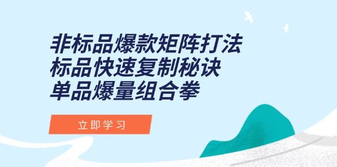 （15068期）非标品爆款矩阵打法，标品快速复制秘诀，单品爆量组合拳-东升网创