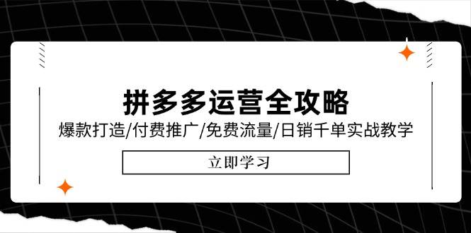（15085期）拼多多运营全攻略，爆款打造/付费推广/免费流量/日销千单实战教学/6月更新-东升网创