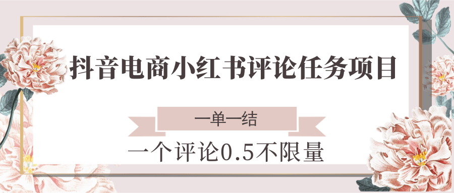 抖音电商小红书评论任务项目，一个评论0.5，一单一结 不限量-东升网创