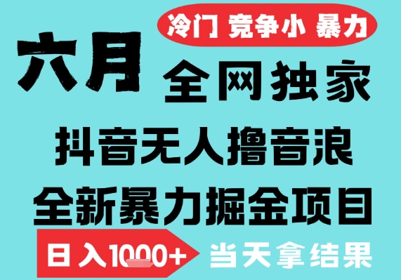 2025年6月高爆抖音无人直播最新撸音浪掘金项目，无脑日入1k+，低门槛小白可做，可矩阵放大【揭秘】-东升网创
