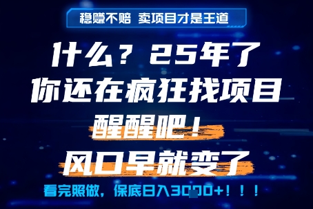 什么？25年你还在疯狂找项目做，醒醒吧，看完这些你全都懂了！【揭秘】-东升网创