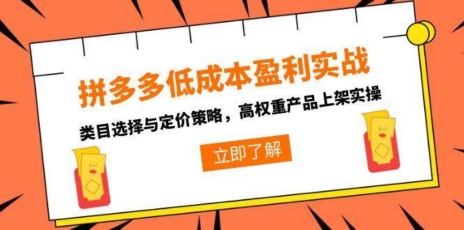 （15143期）拼多多低成本盈利实战，类目选择与定价策略，高权重产品上架实操-东升网创