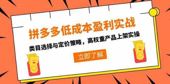 拼多多低成本盈利实战，类目选择与定价策略，高权重产品上架实操-东升网创