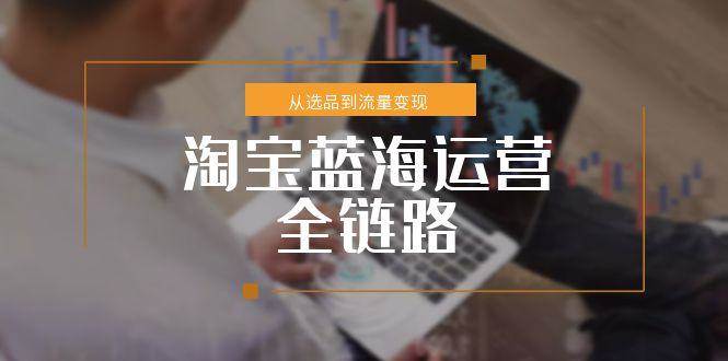 （15160期）淘宝蓝海运营全链路，从选品到流量变现，小类目突围完整方案-东升网创