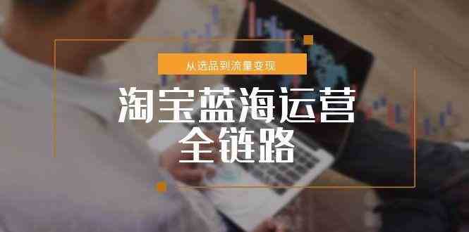 淘宝蓝海运营全链路，从选品到流量变现，小类目突围完整方案-东升网创
