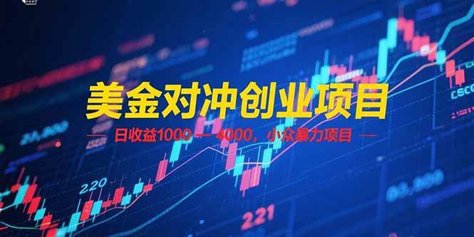 （15187期）美金对冲创业项目，日收益 1000 – 4000，小众暴力项目-东升网创