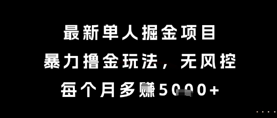 最新单人掘金项目，暴力撸金玩法，无风控，每个月多挣5k+【揭秘】-东升网创