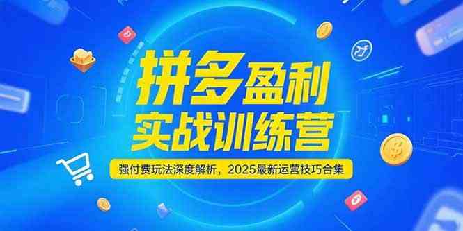 拼多多盈利实战训练营，强付费玩法深度解析，2025最新运营技巧合集-东升网创