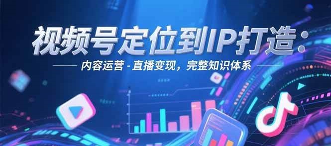 视频号定位到IP打造：账号搭建-内容运营-直播变现，完整知识体系-东升网创