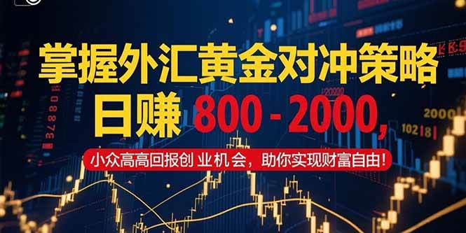 （15198期）掌握外汇黄金对冲策略，日赚 800 – 2000，小众高回报创业机会，助你实…-东升网创